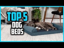 ✅Top 5 Best Dog Beds in 2025