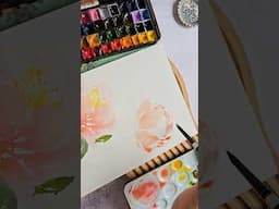 Loose peach watercolor peonies #watercolorpainting