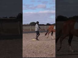 Using Your Energy To Help Train Your Horse