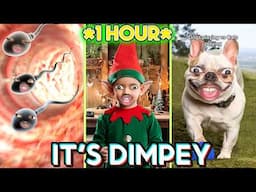 *NEW* 1 HOUR ItsDimpey Tiktok Funny Videos - Best of Its Dimpey6 Shorts 2025