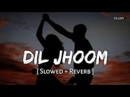 Dil Jhoom (Slowed + Reverb) | Vishal Mishra, Shreya Ghoshal | Crakk | CS Lofi | Bollywood Song