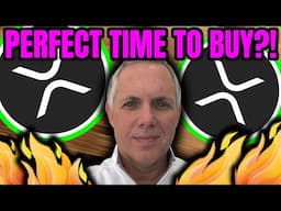 IS IT THE PERFECT TIME TO BUY XRP?! EXPERT REVEALS KEY XRP DATA   ABOUT BUYING MORE XRP!