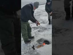 Sons first hard water musky