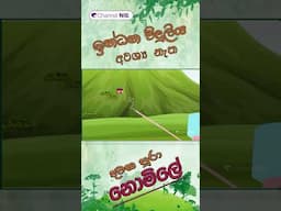 ඉන්ධන විදුලිය අවශ්‍ය නැත දවස පුරා ජලය  නොමිලේ