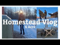 Homestead Vlog {Cleaning the Barn, Feeding, Hoof Trimming}