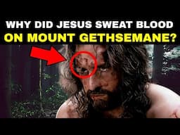 Discover Why Jesus Sweated Blood on Mount Gethsemane