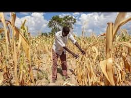 El Niño Crisis in Southern Africa: Solutions & Action