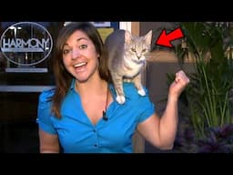 Best Cats News Bloopers