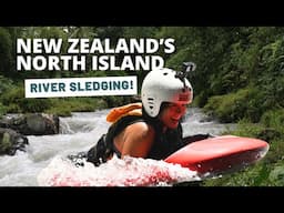 Visiting New Zealand's North Island | Must-Do Adventure…SLEDGING!