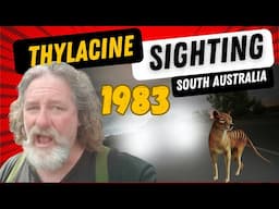 Thylacine sighting, 1983, upper South-east of South Australia with John McConville.