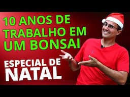 10 ANOS DE INTERVENÇÕES EM UM BONSAI DE FICUS - Especial de Natal!!!