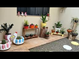 Meu Jardim está ficando um cantinho CHARMOSO  / RECOMEÇANDO UM NOVO JARDIM