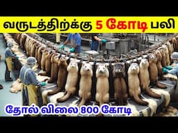 மனிதனுக்காக அழிக்கப்படும் விலங்குகள் | Mink Fur Processing And Civet Coffee | Tamil Amazing Facts