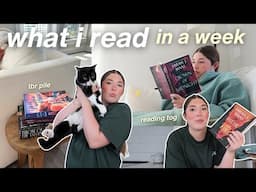 how much i read in a week 🤍 reading crown of midnight, amazon hauls, bookmas plans!! (weekly vlog)