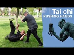 "Brush Knee push" (zhou) TAI CHI PUSHING HANDS