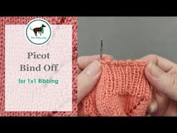 Picot Bind Off for 1x1 Ribbing