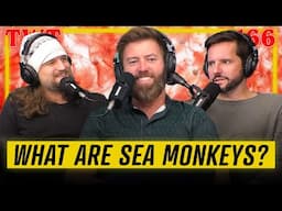 What Actually Are Sea Monkeys? - TWT 166