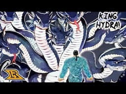 Retsu Confronts the Disaster Class Monster, King Hydra!