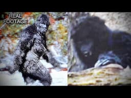 *NEW* Most Believable Cryptid Creature Footage Ever!