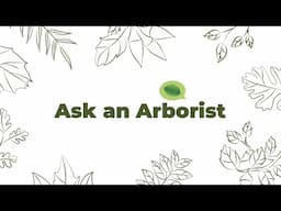 Learn@Home: Ask an Arborist