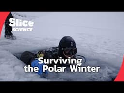 Trapped in the Ice: A Polar Expedition | SLICE SCIENCE