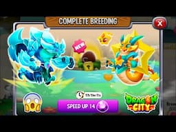 Dragon City: High Zero Dragon vs Twinkle Dragon [EXCLUSIVE BREEDING] 😱