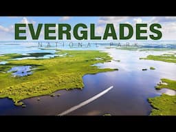 Top 10 Things To Do In Everglades National Park, Florida || Live