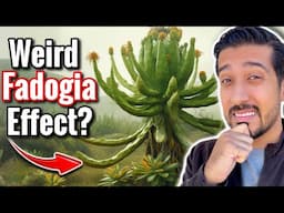 My Thoughts on Fadogia Agrestis for Testosterone | Fadogia Agrestis VS Tongkat Ali