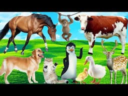 Amazing familiar animals playing sounds: cats, elephant, dog, cows, fish colors, chickens, horses