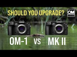 OM System OM-1 mk ii - Wildlife Photography Review