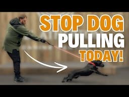 How To STOP YOUR DOG PULLING In 1 Day!