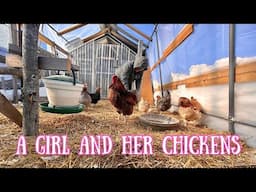 A Girl and her Chickens \ Homesteading Off-grid in Maine