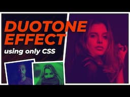 Image DUOTONE effect (CSS ONLY)