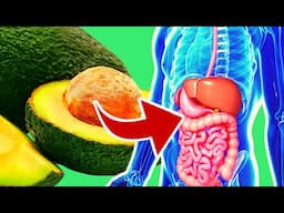 10 Incredible Health Benefits Of Avocado And Why Is Good For You