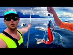 Big Fish Fishing only gets bigger in the Gulf of Alaska