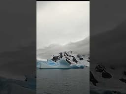 Spectacular Antarctic Icebergs Footage: An Antarctic Adventure