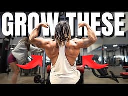 The Complete Back Workout With Life Changing Tips