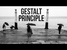 Boost Your Photography Skills in Minutes with Gestalt Principles