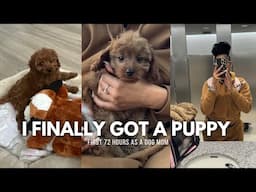 Getting A New Puppy| First 72 Hours Vlog| Meet Nala💕