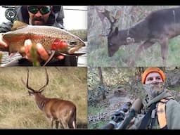 Post Rut Poke About (Fallow Bucks & Big Rusa) | Tassie Rainbow Trout