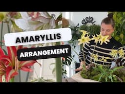 🌸 Amaryllis Arrangement 2025! 🌸