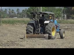 TRACTOR BACKPUSHER MENOLAK DAN MERATAKAN TANAH DI MUSIM KEMARAU BENDANG SAWAH PADI