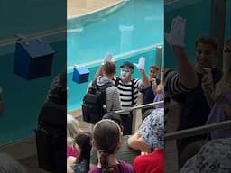 Bro, what are you doing? 😂😬 Tom mime Seaworld #seaworldmime #funny #comedy #tomthemime #shorts