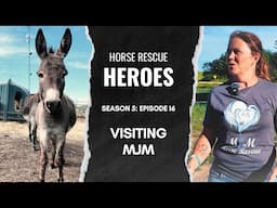 Visiting MJM Horse Rescue | Horse Rescue Heroes S5E16