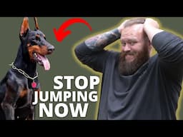 HOW TO STOP DOBERMAN FROM JUMPING