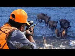 EXCITING BOAR CHASE: Unbelievable Shots, TOP HUNTING Scenes, AMAZING DOGS!