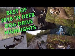 Deer Dog Drive BEST OF 2018-19 HIGHLIGHTS