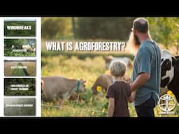 Farming with Trees: 5 Agroforestry Practices Explained