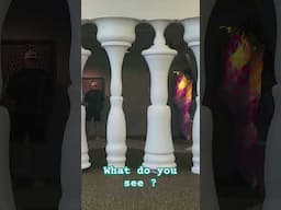 What do you see ?