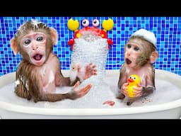 KiKi Monkey bathing in Bubble Bathtub with brother then Take Care of him | KUDO ANIMAL KIKI